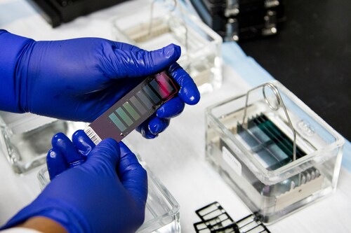 Clear Benefits: How Drug Testing Can Improve Your Workplace